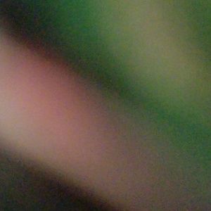 Meet your Posher, Michele